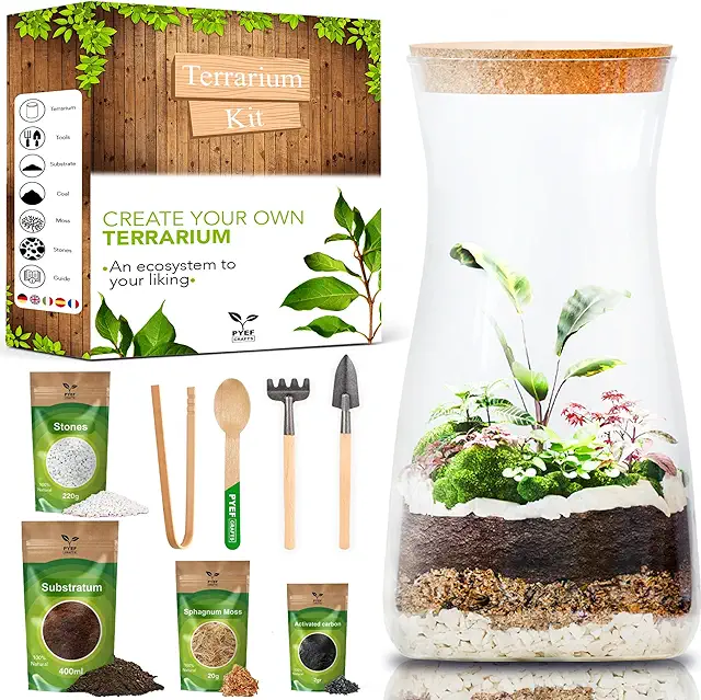 DIY Terrarium Kit for Adults - Self-Sustaining Ecosystem Starter Set