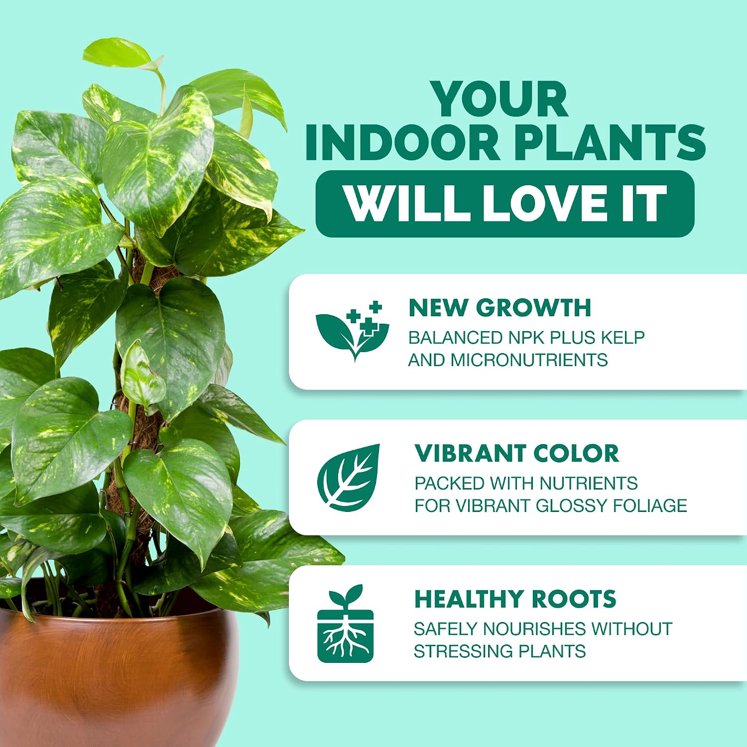 Indoor Plant Food – Liquid Fertilizer for Indoor Plants & Potted Houseplants, by TPS Plant Foods, 8 oz (250 mL)