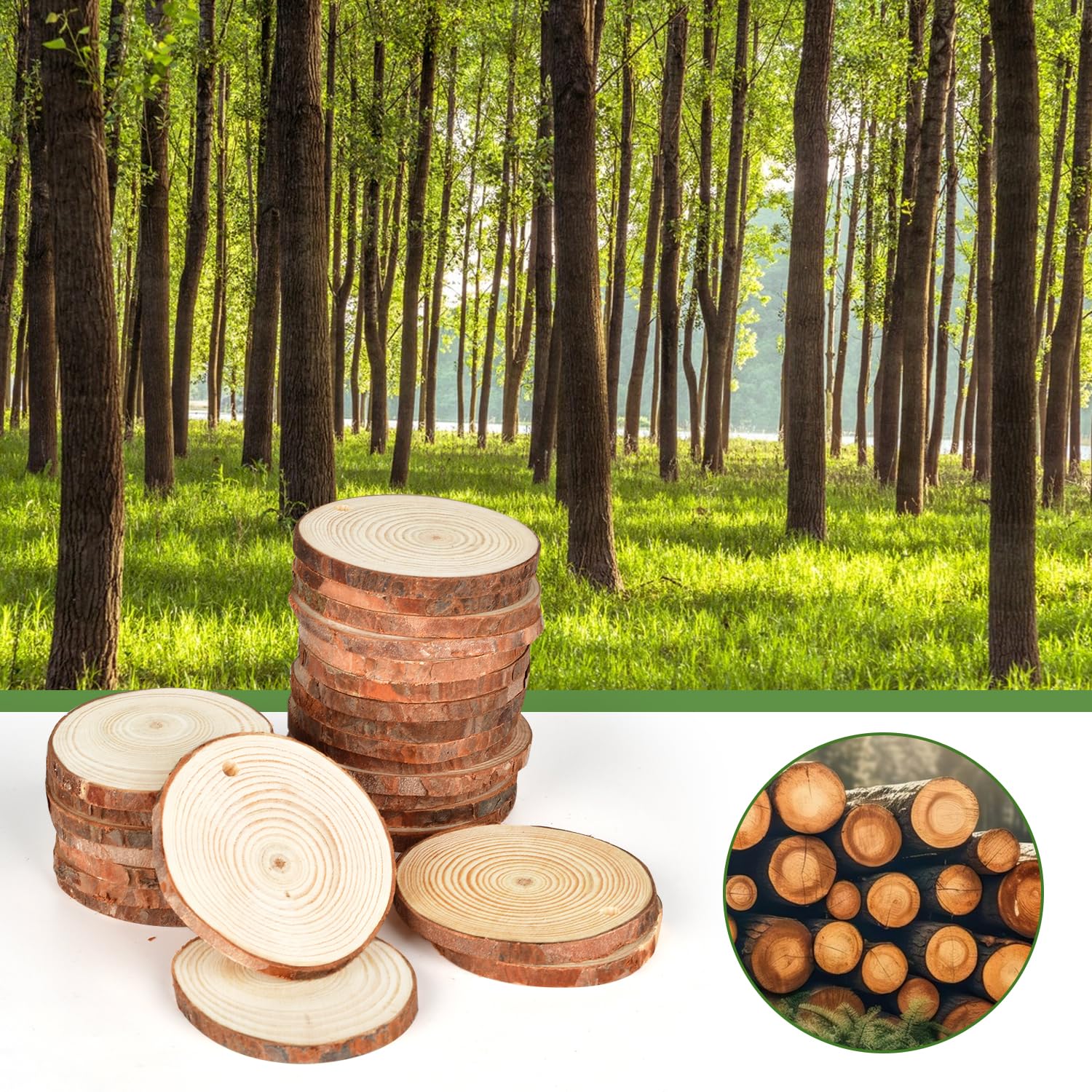 50pcs 6-7cm Tranche De Bois Naturel Avec Corde De 20 Mètres, Rondelles De Bois Disques En Bois