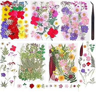 180Pcs Dried Pressed Flowers Resin Mould Real Pressed Flowers Natural Dr...