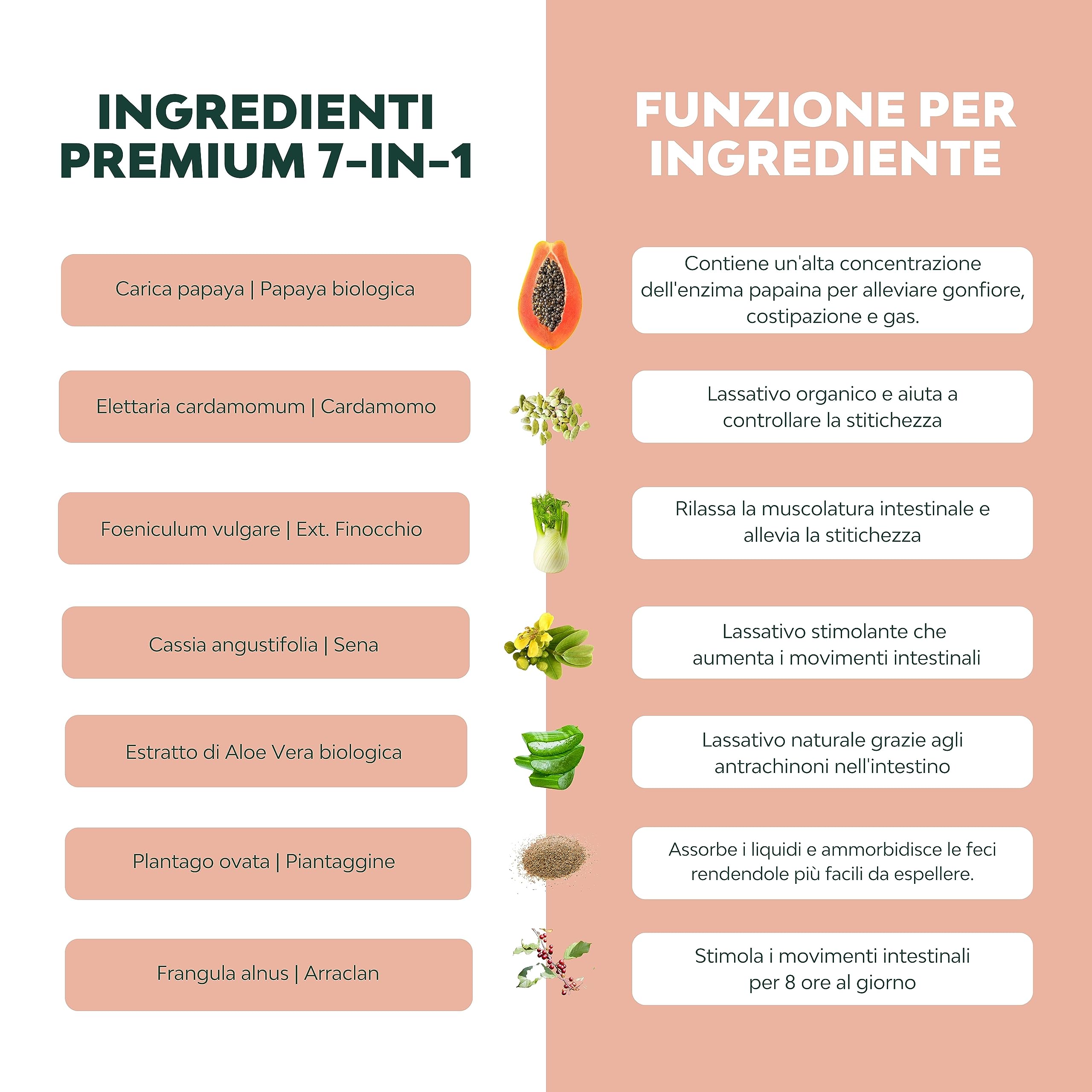 LAX+ Integratore Alimentare 2x Bottiglie con Senna, Papaya, Finocchio, Aloe e Piantaggine – 120 Capsule