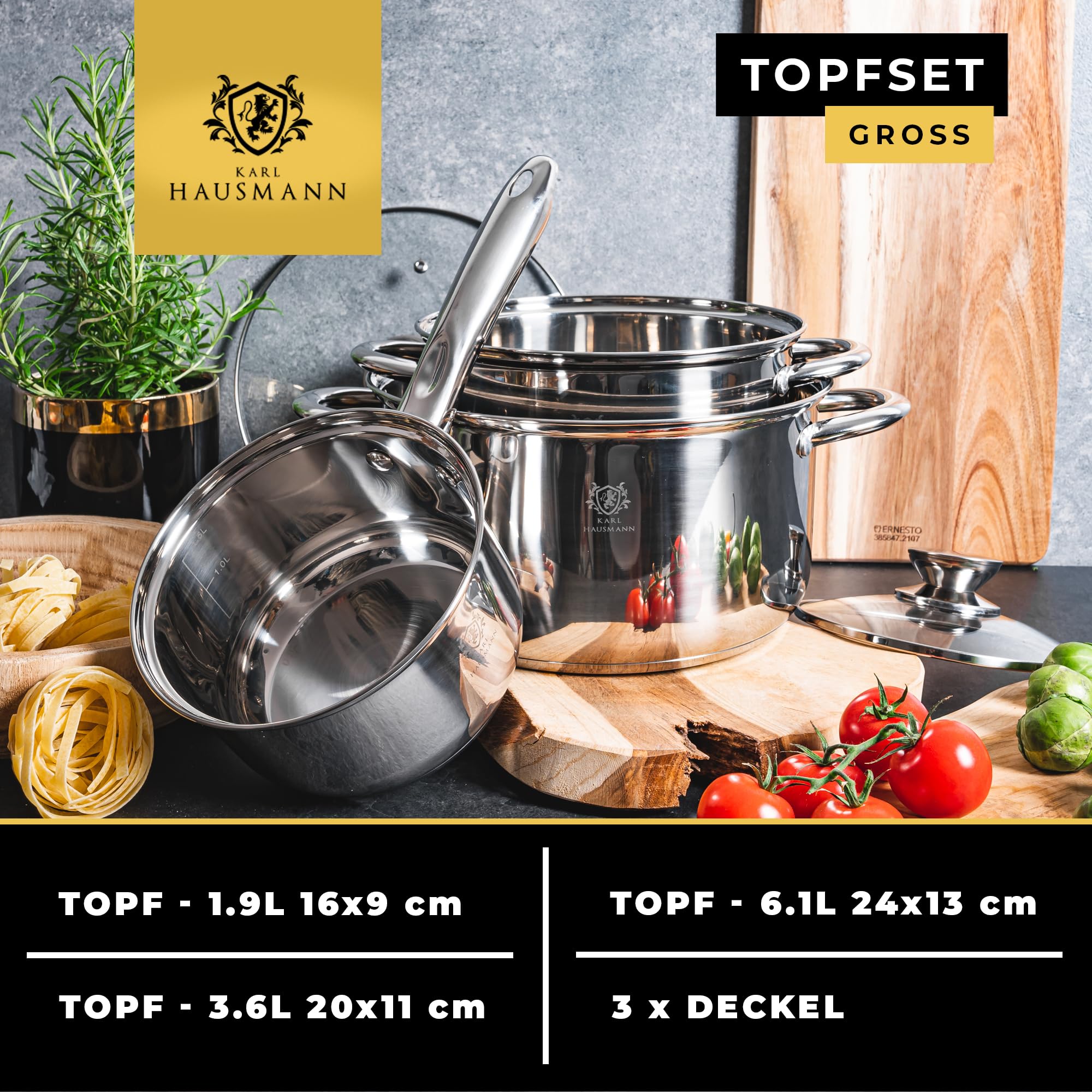 KARL HAUSMANN Topfset Induktion aus Edelstahl, 2 Töpfe und 1 Stieltopf