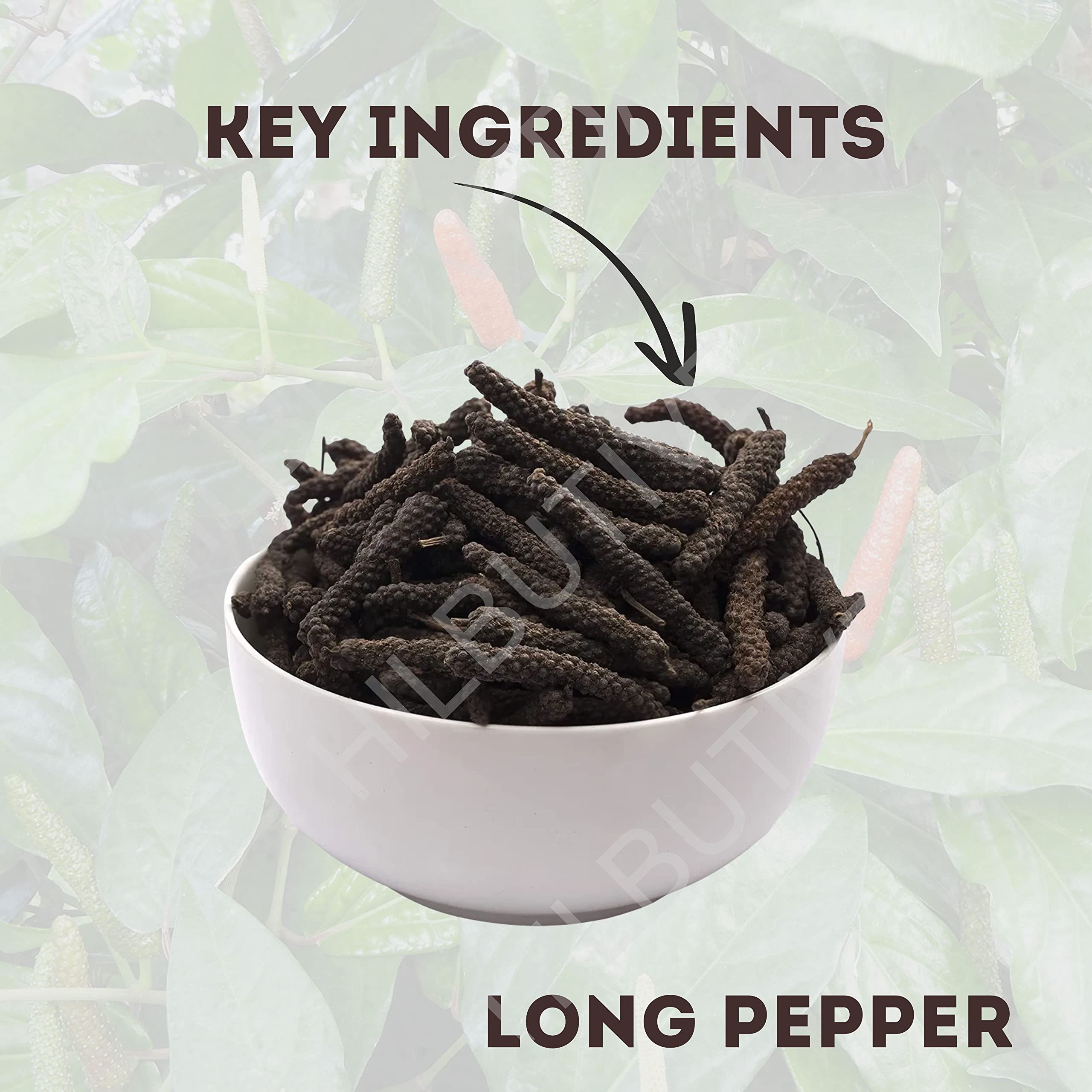Hillbutiveda Whole Long Pepper - Pipal/Pippali - Jumbo Size Fresh Harvest (750) 1