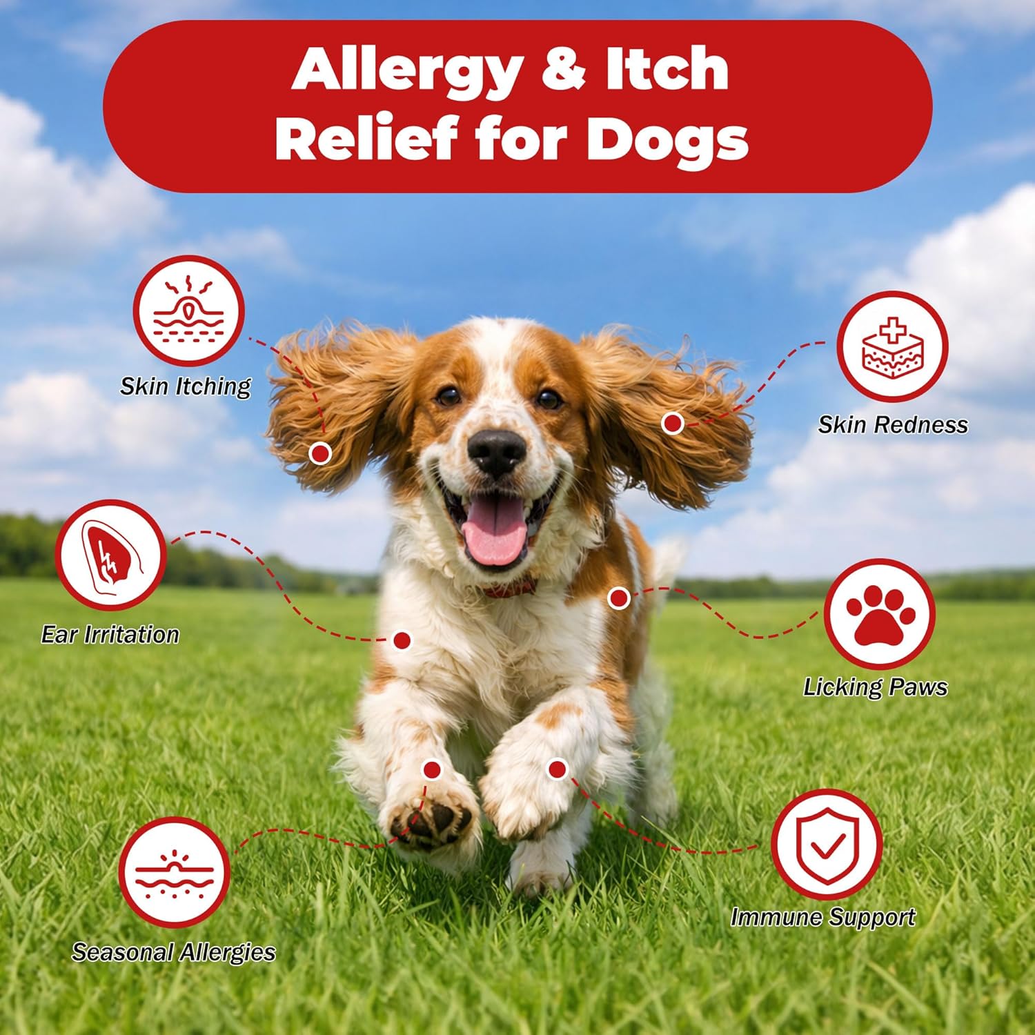 Quercetin for Dogs with Bromelain, Soothe Itchy Skin, Ear Infections, Seasonal Allergies, Immune Boost & Supports Healthy Digestion，Natural Formula – 120 Tablets