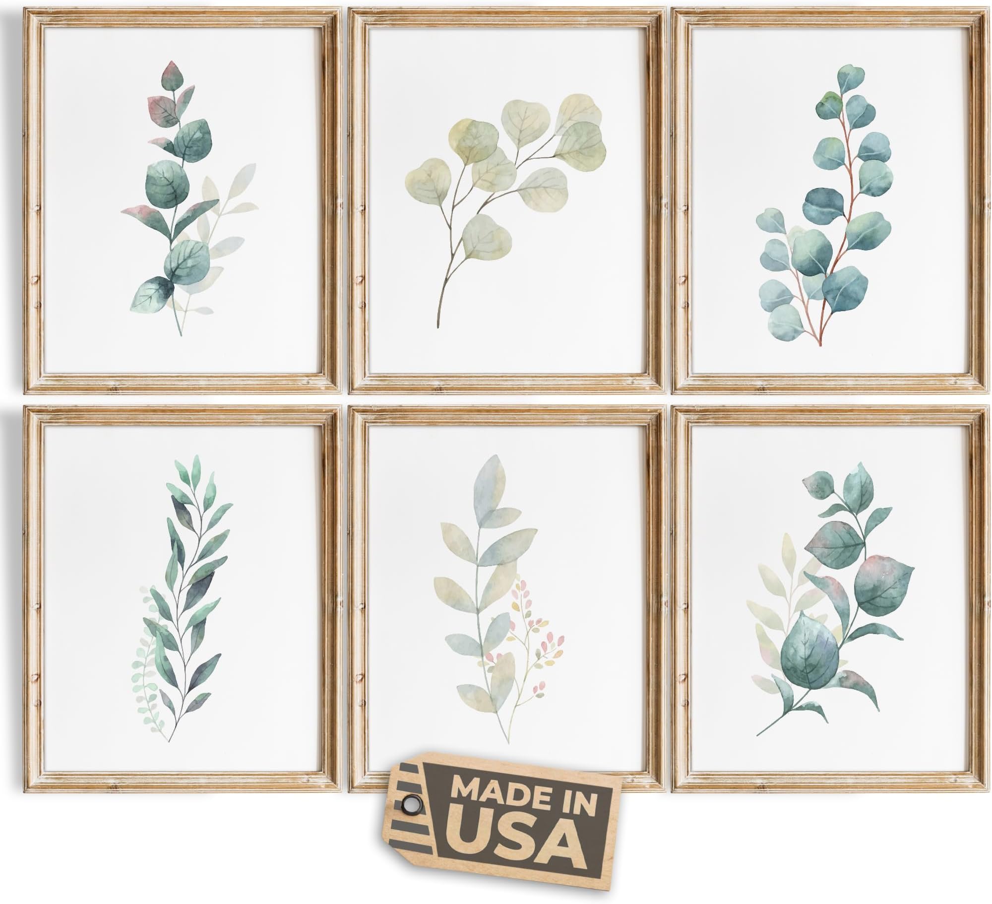 Botanical Prints Wall Art - Eucalyptus Leaves - (Set of 6) - Unframed - 8x10s | Kitchen Wall Décor | Kitchen Décor for Adding a Touch of Nature and Freshness to Your Kitchen Art | Botanical Wall Art