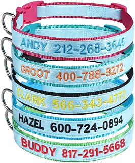 Wlitchi Personalized Reflective Dog Collars, Custom Glowing Luminous ID Collar Embroidered Name and Phone Number 4 Adjustable Sizes X-Small Small Medium Large for Boy and Girl Dogs (Fluorescent Glow)