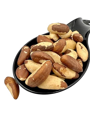 Brazil Nuts - Raw Brazilian Nuts 70g - 1.9kg Bertholletia