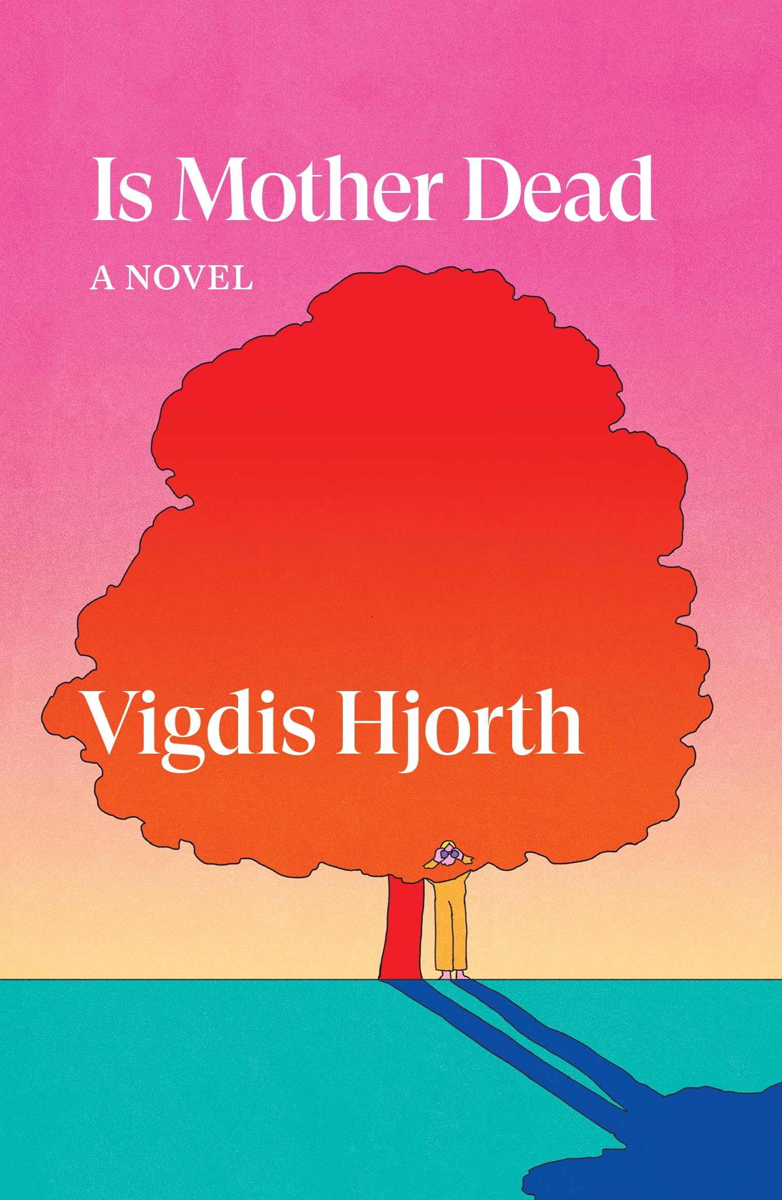 Is Mother Dead: Vigdis Hjorth (Verso Fiction)