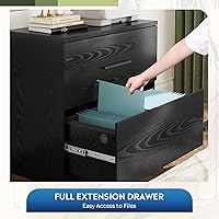 Vista 5 de DEVAISE Archivador lateral de madera con 2 cajones