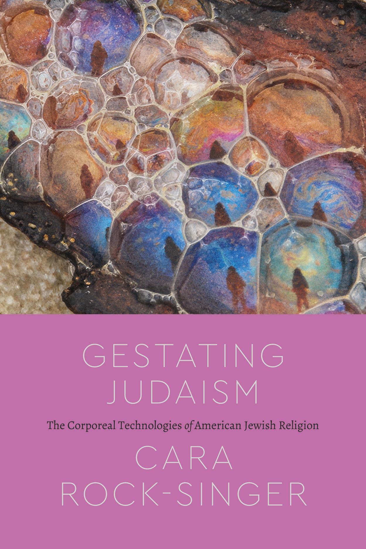 Gestating Judaism: The Corporeal Technologies of American Jewish Religion (Class 200: New Studies in Religion)