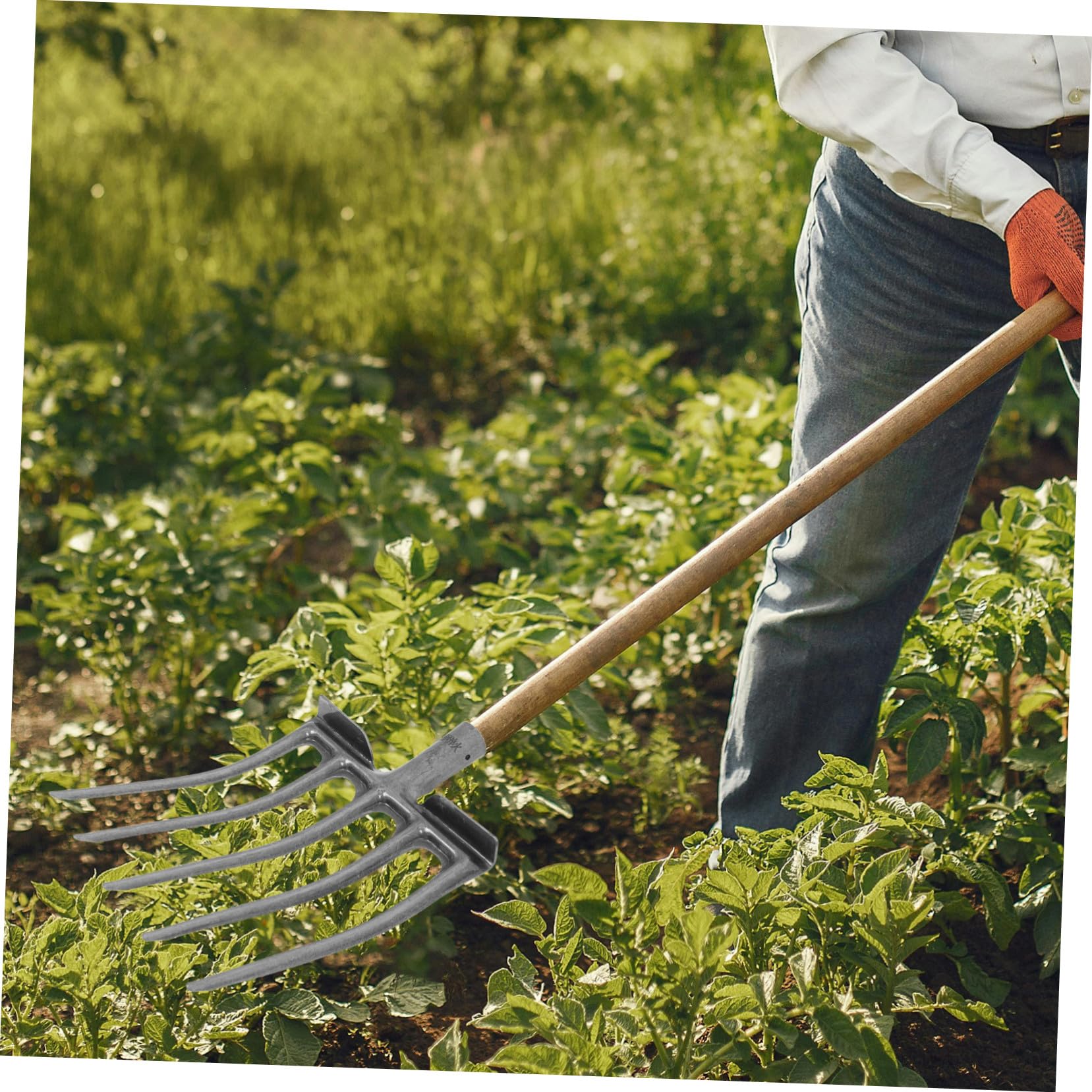 Forca da Aratura in Acciaio per Giardinaggio Agricolo, Testa Forca Multidente 5 e 6 Punte, Utensile per Allentare e Rivoltare Terreno, Attrezzo per Manutenzione Orto e Stalla