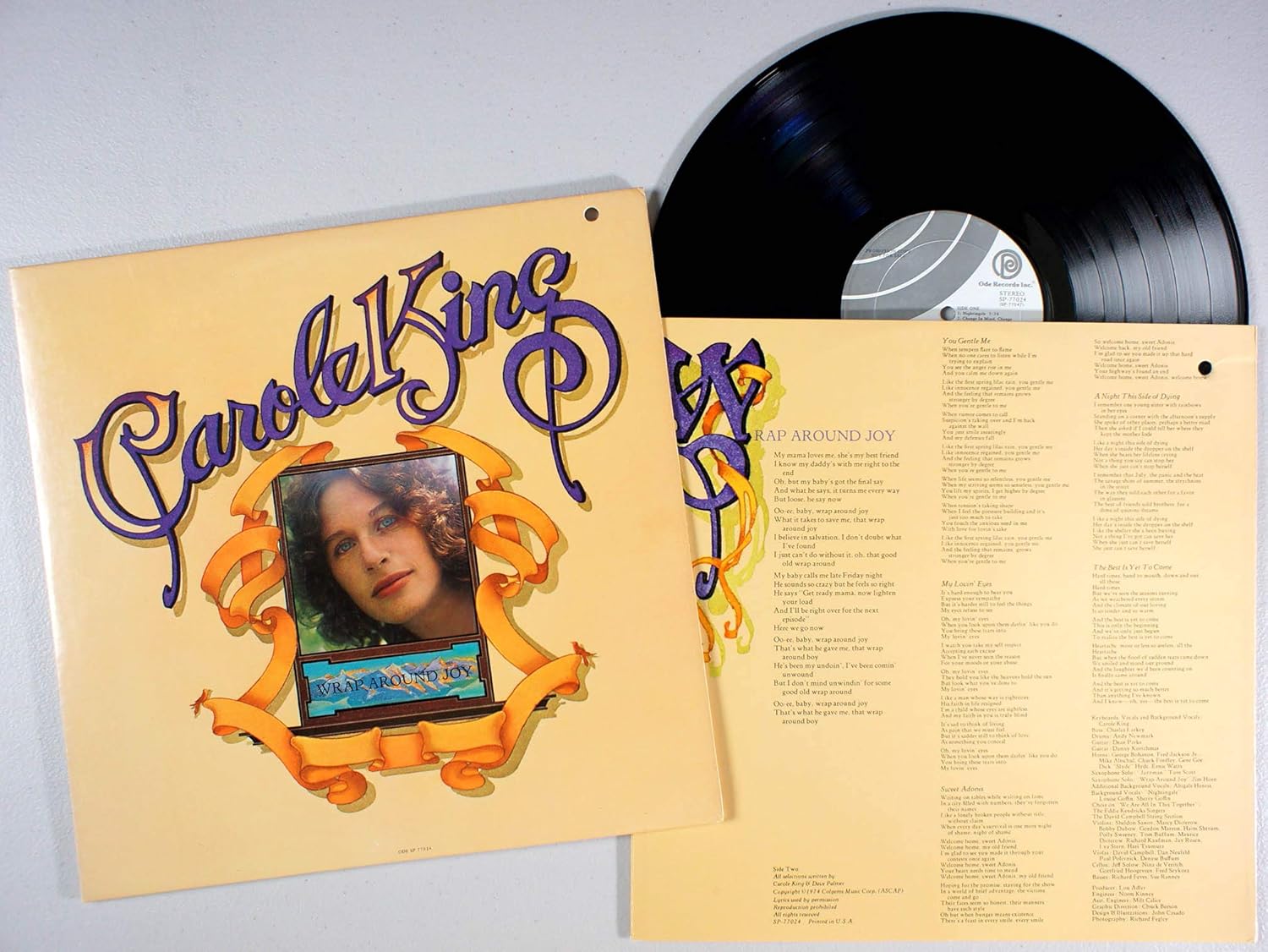 Wrap Around Joy [LPvinyl] CDs & Vinyl