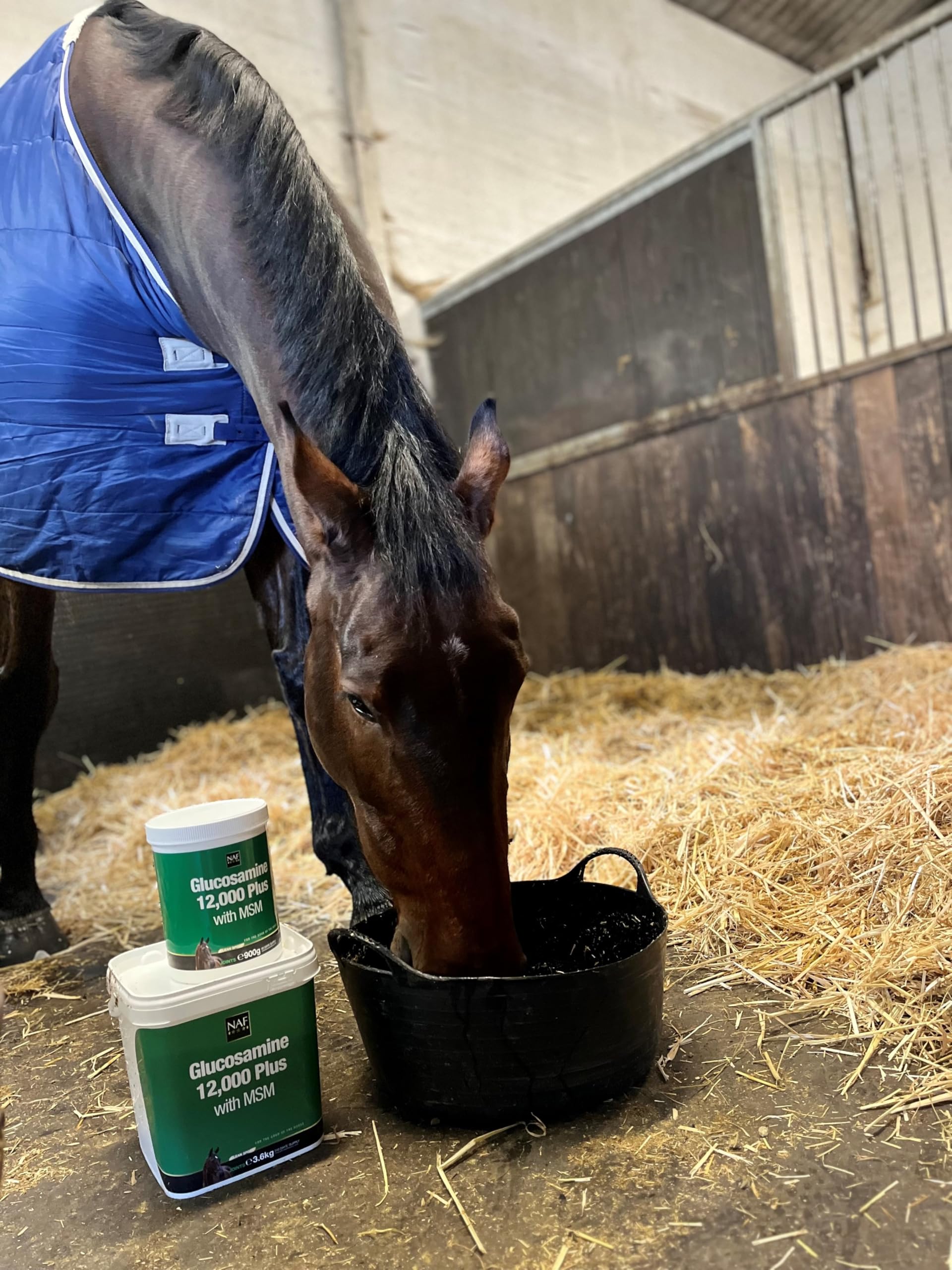 NAF Glucosamine 12.000 Plus mit MSM 900g – Gelenkunterstützung für Pferde – Hochdosiertes Glucosaminsulfat & MSM – Unterstützt Beweglichkeit, Flexibilität & die Gesundheit des Bindegewebes