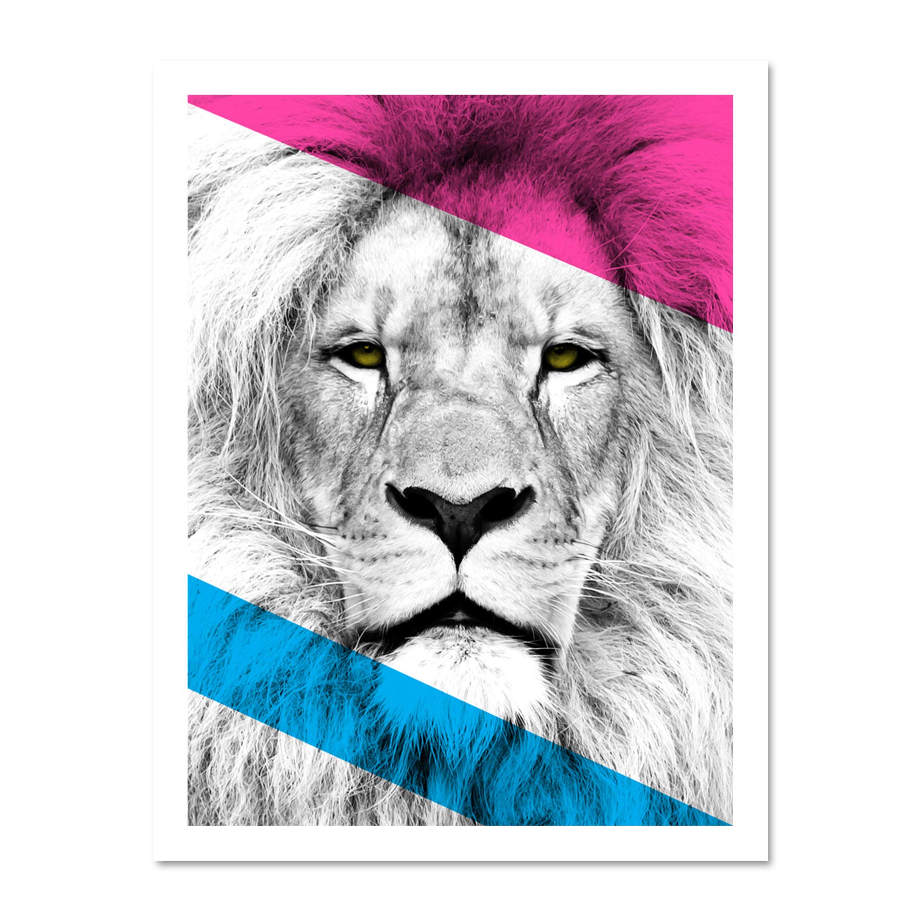 Wee Blue Coo Contemporary Bold CMYK Lion Large Framed Art Print Wall Poster 18x24 inch