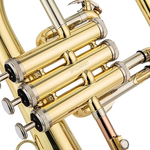 AUROSUS SFH8336 Trigger Flugelhorn With 3rd Valve Trigger, 52 OFF