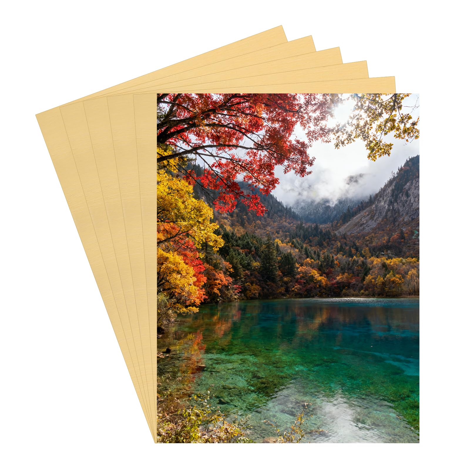 PATIKIL 6 Pcs Aluminum Sublimation Blanks, 15x20CM Metal Sublimation Blank Sign Metal Photo Prints for Custom Personalized Frame Cards Photo, Brushed Gold