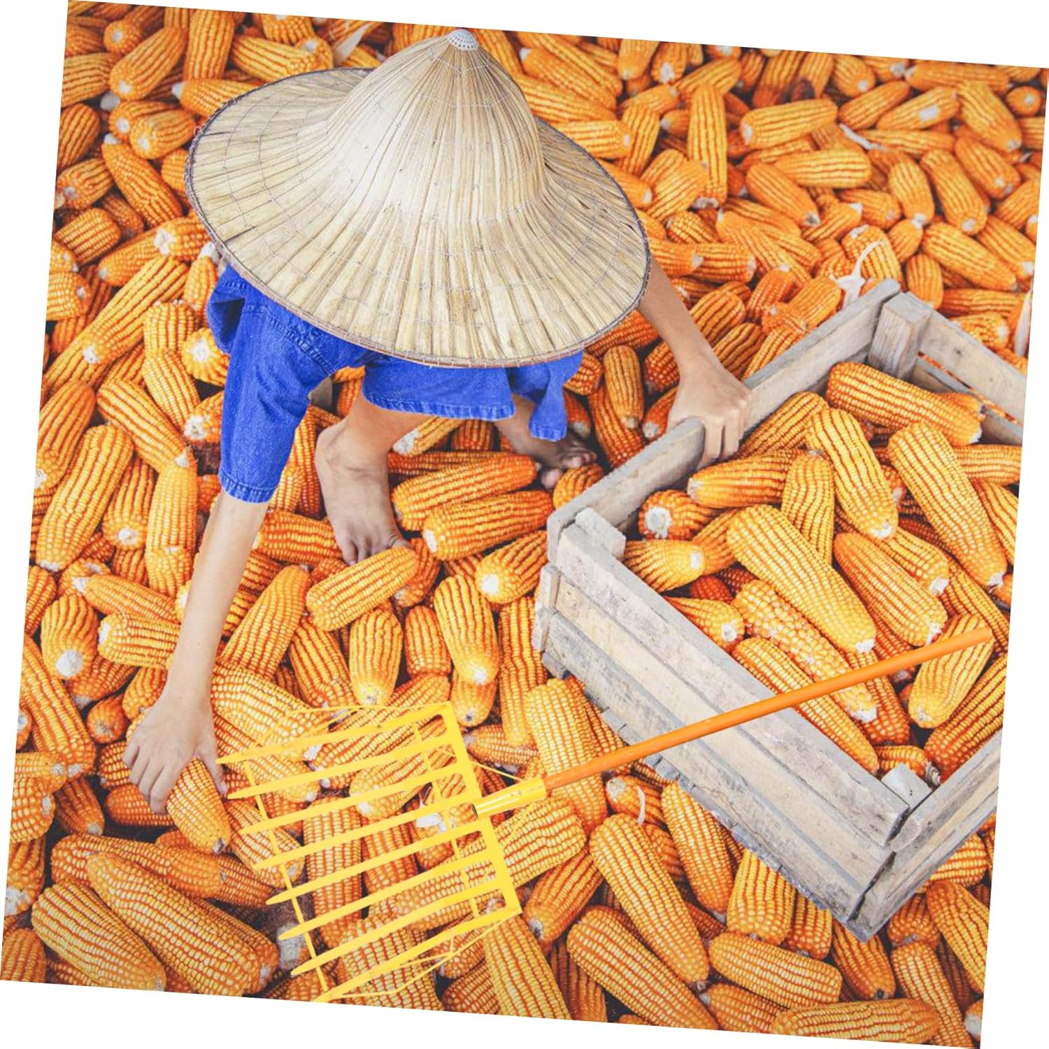 Kisangel Corn Shovel for Gardening Maize Spade Thick Yellow Pointed Blade for Collecting Corn and Soil Digging for Outdoor Use