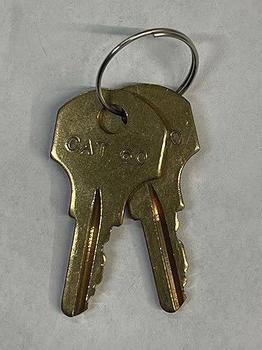 2 CAT 60 Keys for Gamewell Fire Alarms