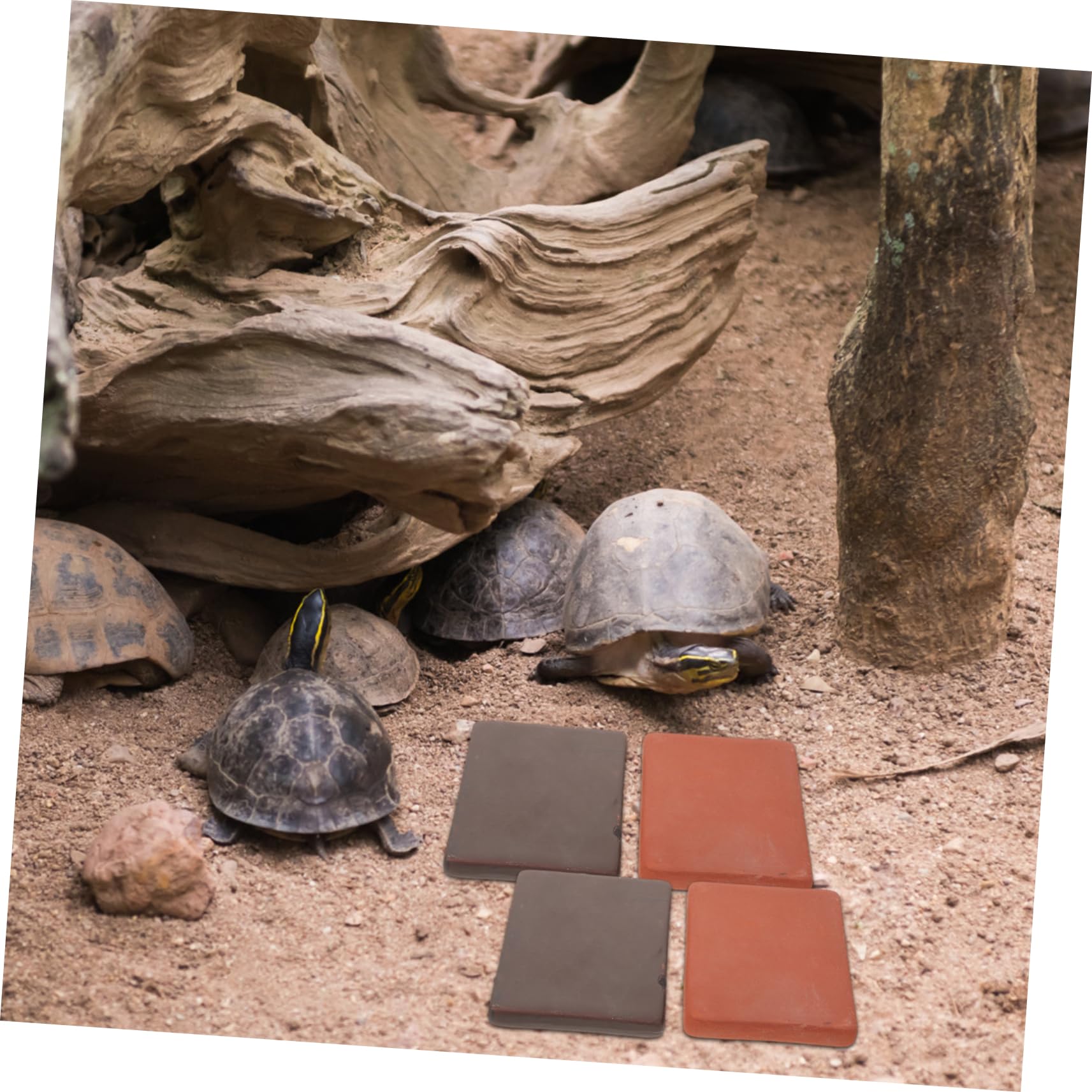 Toddmomy 6stücke Naturstein Für Aquarien Fischbeckenfelsen Sonnenplatz Für Schildkröten Zubehör Für Schildkrötenbecken Keramikziegel Für Reptilienhabitate Dekorationssteine Für Landschildkr