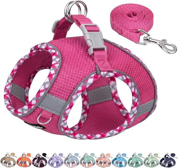 AIITLE Small Dog Harness and Leash Set Strong Magic Tape, Hot-Pink, XS