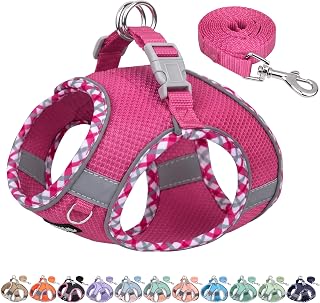 AIITLE Hundegeschirr kleine Größe und Leinen-Set, Knallrosa, XXXS | Zugfreies Step-in-Geschirr für Welpen, atmungsaktives Mesh, reflektierendes Design, für kleine und mittelgroße Hunde
