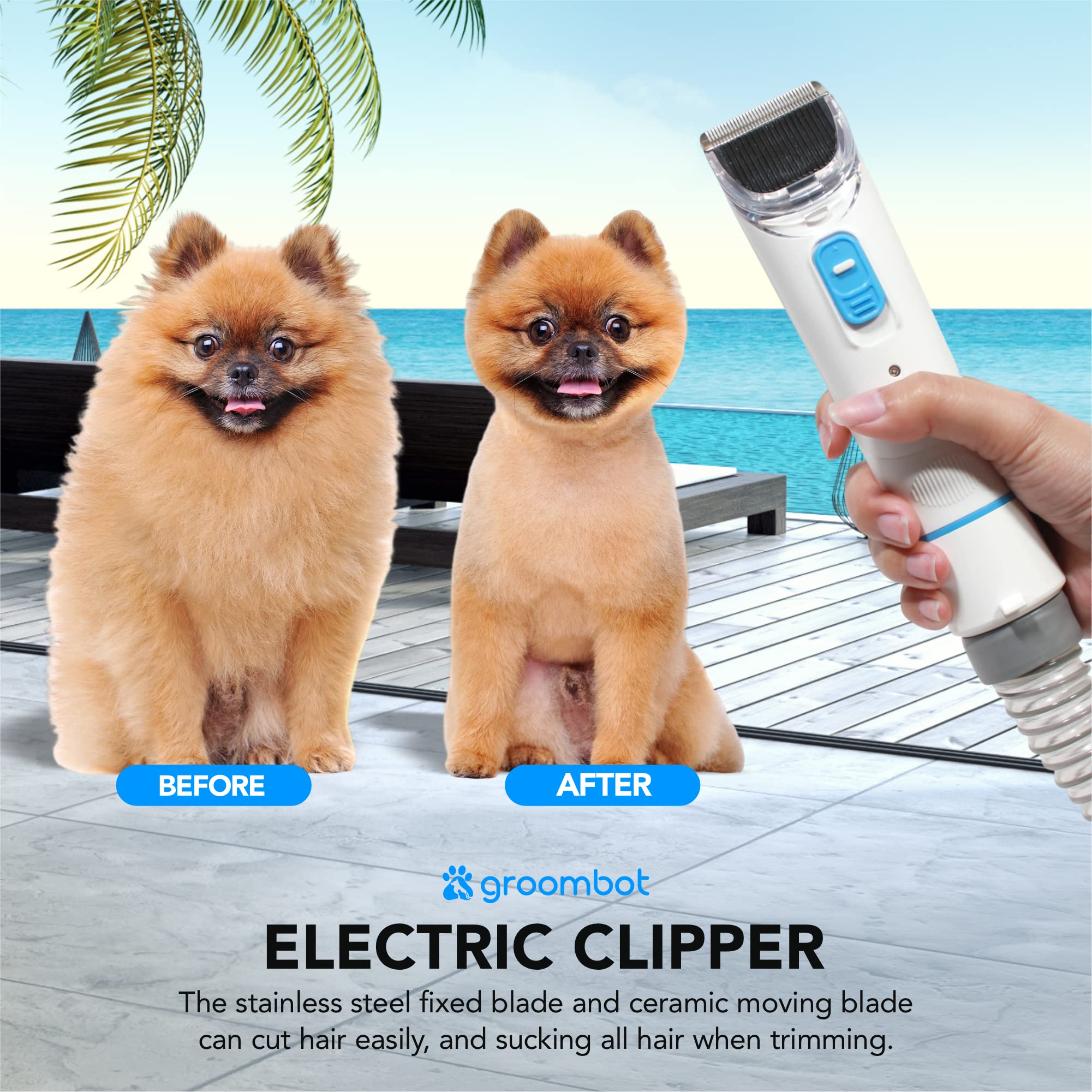 Snapklik.com : Pet Grooming Kit & Vacuum, Low Noise Suction, 25L Large ...