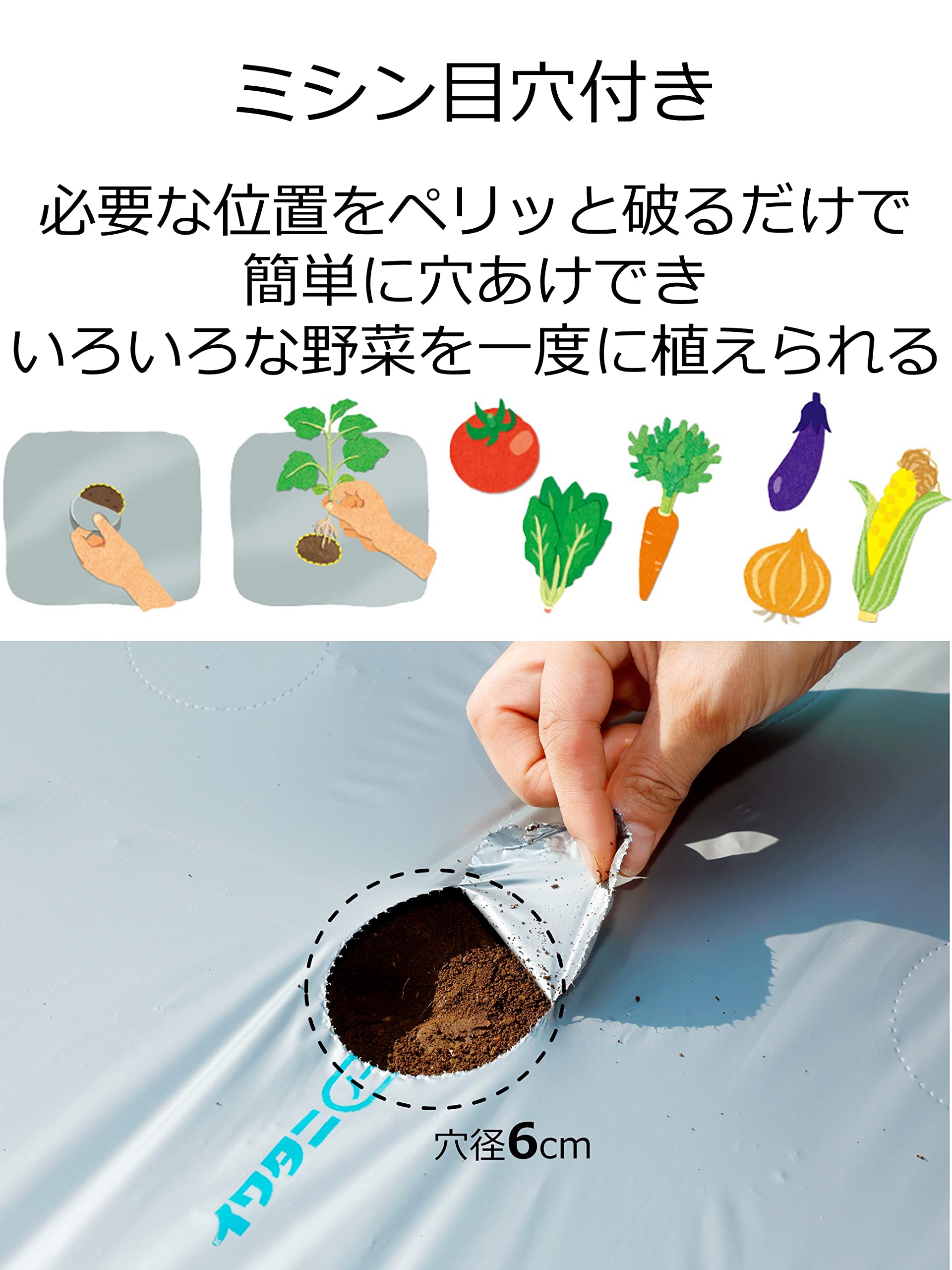 Amazon.co.jp: 岩谷マテリアル 新フリーホールシルバーマルチ