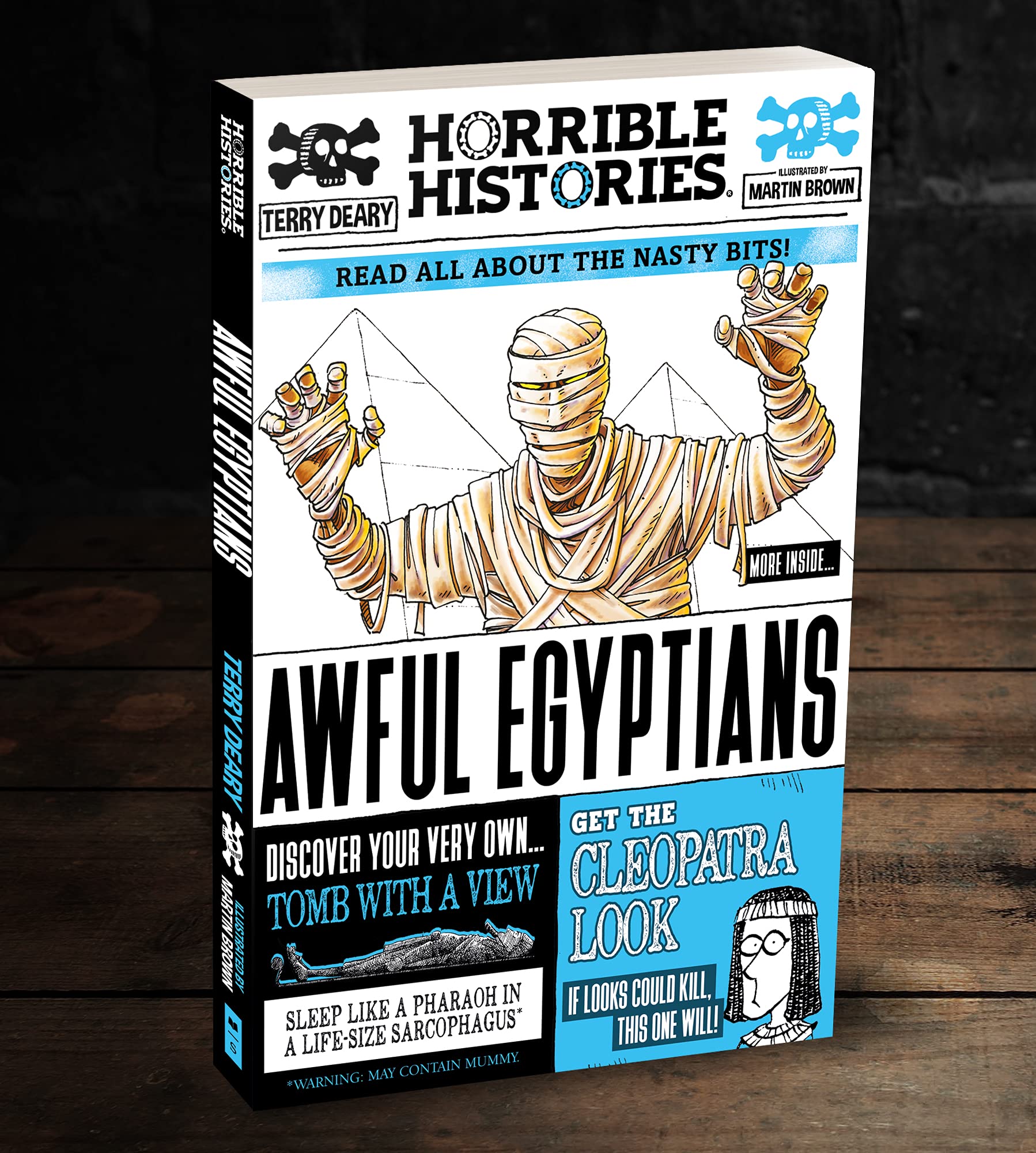 Awful Egyptians (Horrible Histories) - Image 6