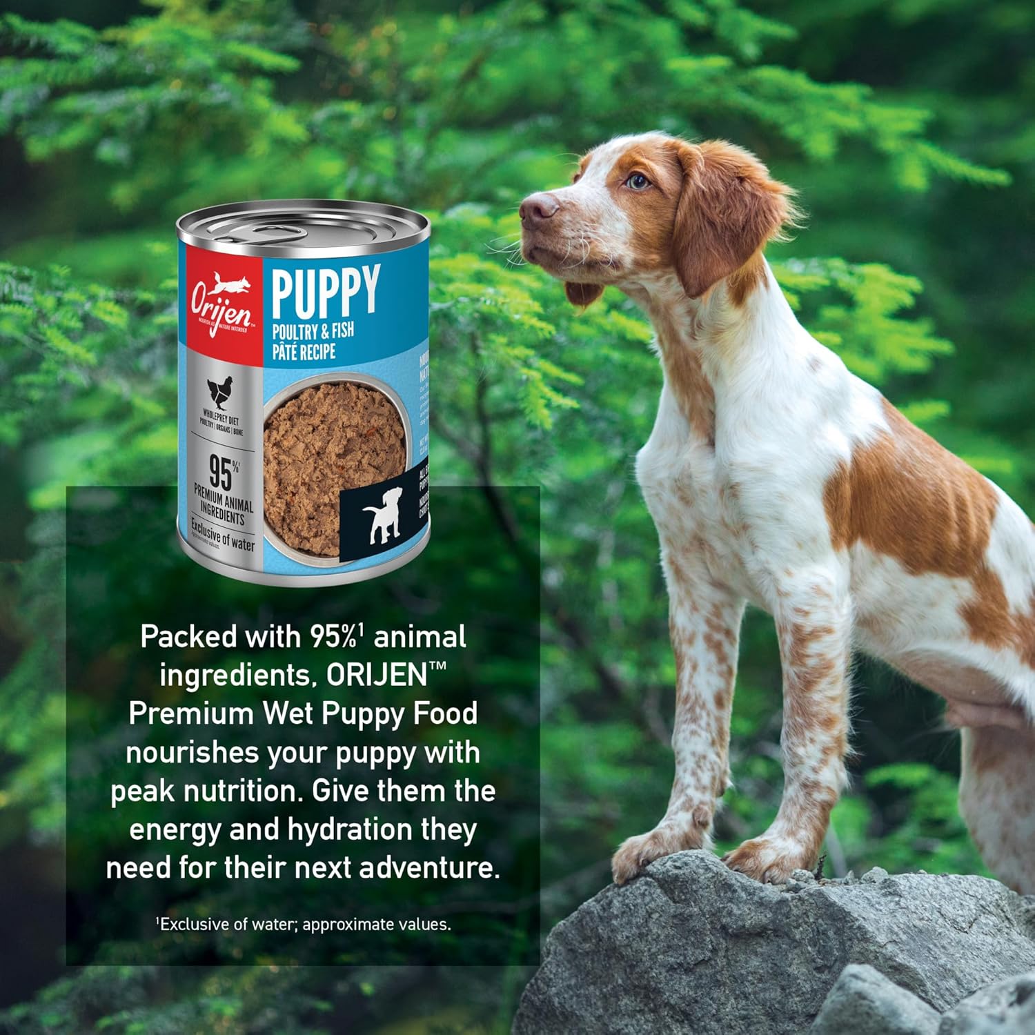 ORIJEN Pate Wet Dog Food Poultry and Fish Puppy Recipe 12.8oz Cans (12 Count)