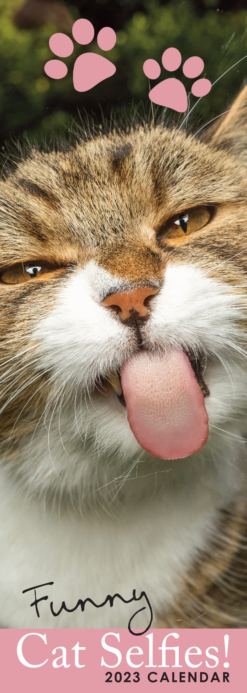 2023 Cat Selfies Slim Hanging Wall Calendar. No Plastic. Funny, Humorous, Kittens, Planner, Organiser, Home, Family, Schedule, Agenda, Gift