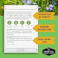 Vista 2 de Lewis Blue Flax Seeds for Planting - Plant & Grow Drought Tolerant Native Perennial Wildflowers Your Home Garden - Non-GMO Heirloom Variety