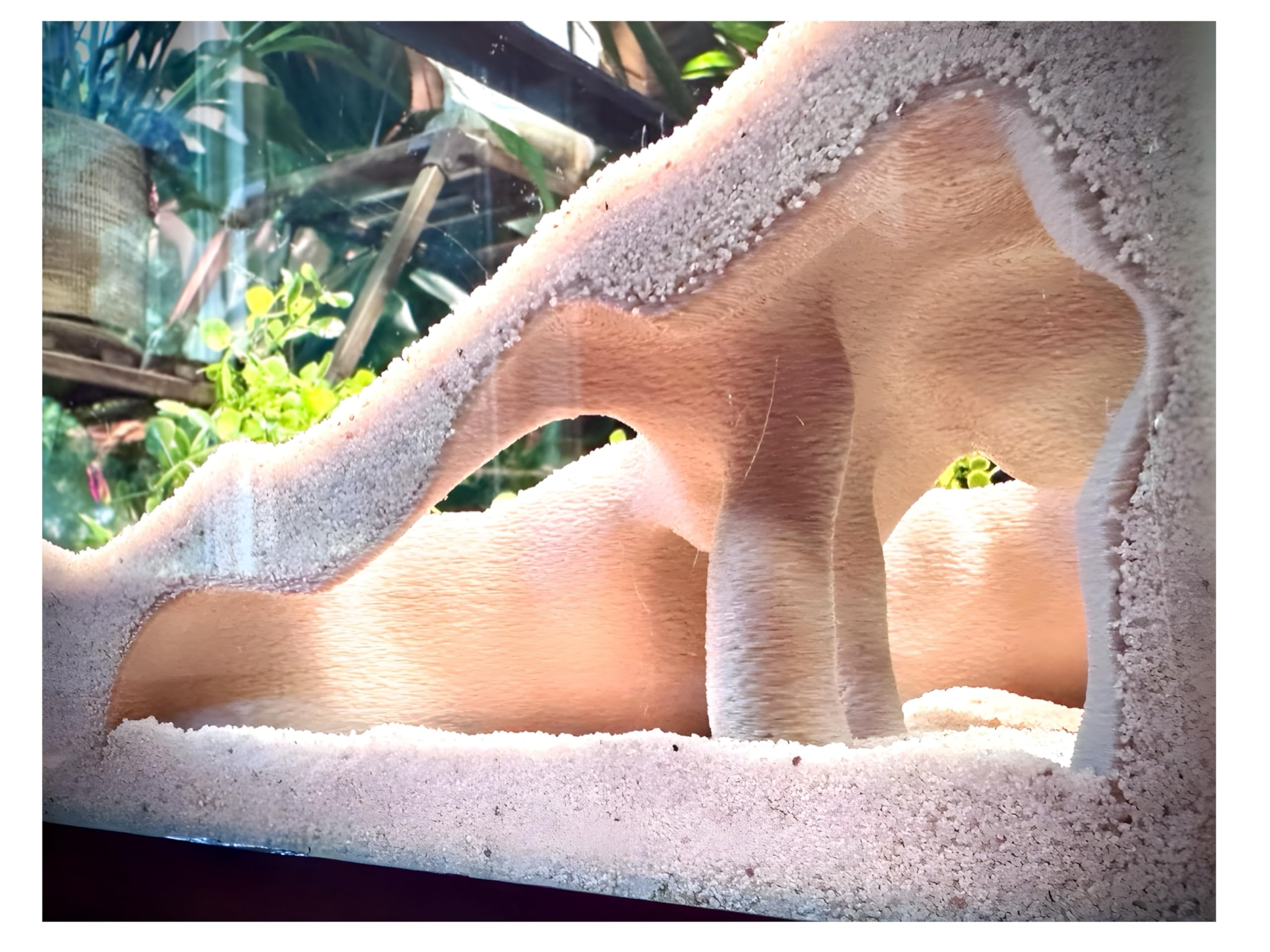 Cueva esquinera de acuario y terrario, escondite de raíz de manglar sintética para peces, camarones, gecos, serpientes, decoración de tanque de reptiles de aspecto natural en estilo de raíz