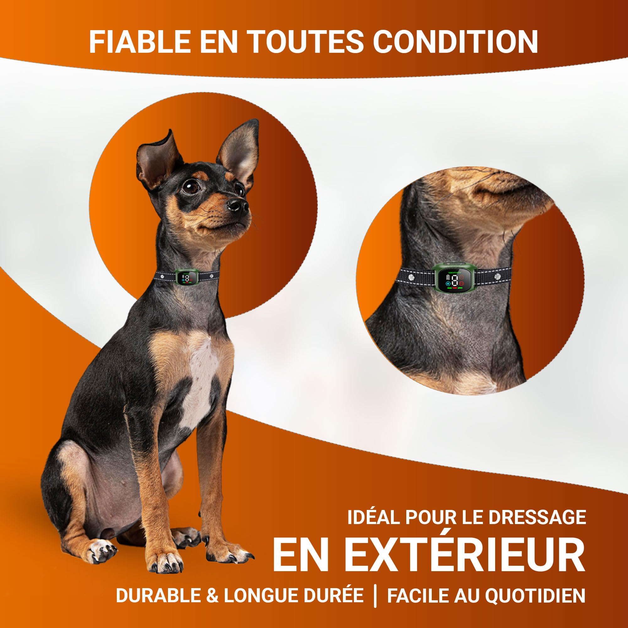 Collier Anti Aboiement Chien – sans Choc Rechargeable, 8 Niveaux de Sensibilité, Collier Electrique pour Chiens avec 4 Modes (Bip/Vibration/Vibration Forte) Étanché IP67, pour Petits et Gros Chiens