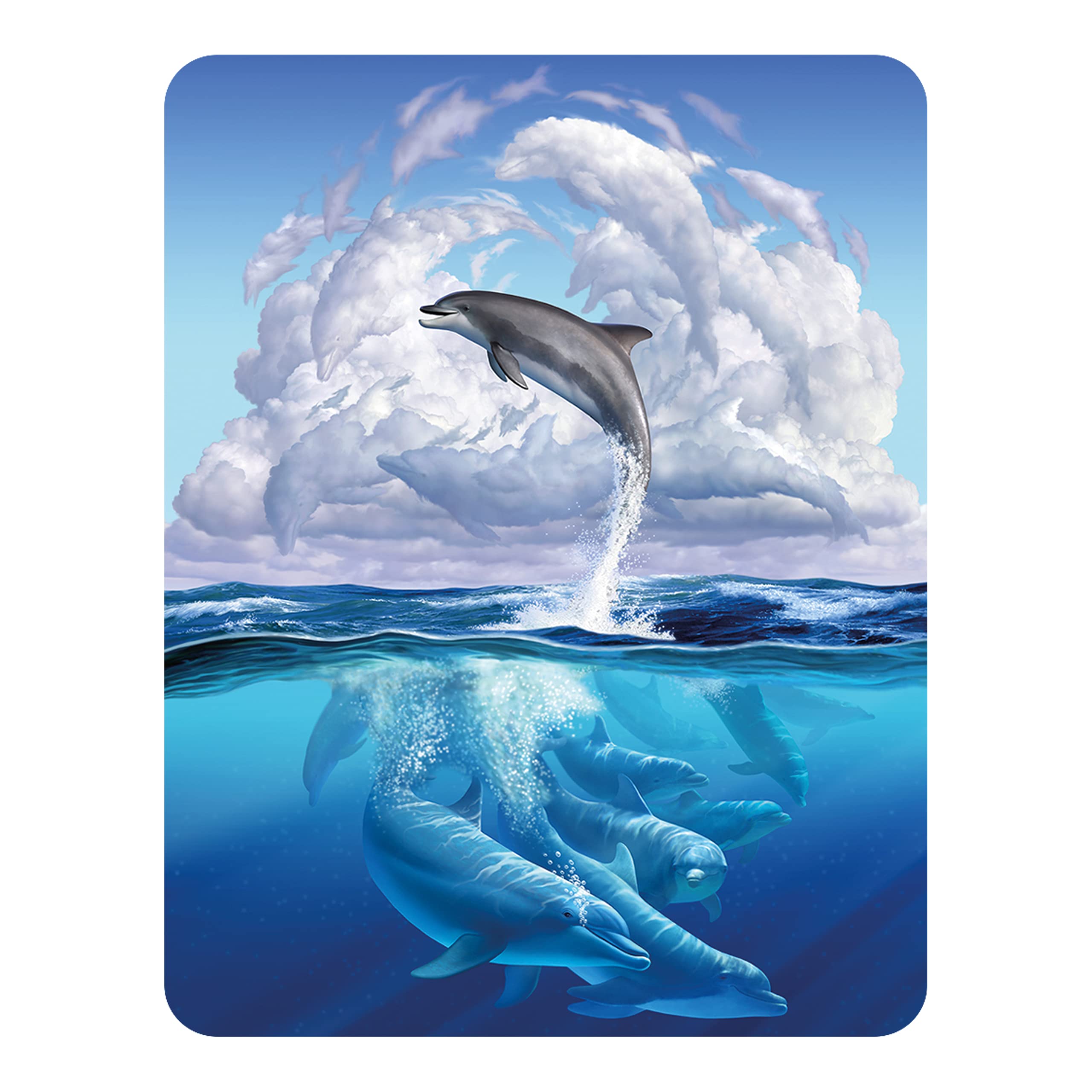 3D Livelife Dolphin Symphony Magnet - From Deluxebase. Lenticular Ocean Fridge Magnet. Decorative 3D Dolphin Flat Magnets. Cute Small Magnets For Fridge, Dishwasher And Whiteboard.