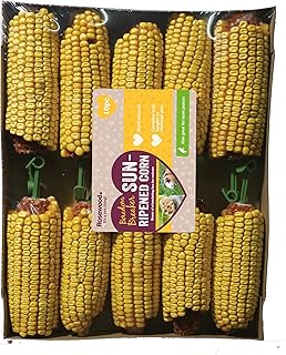 Rosewood Boredom Breaker Sun-Ripened Corn, Rabbit Treats & Small Animal Treats, Pack of 10