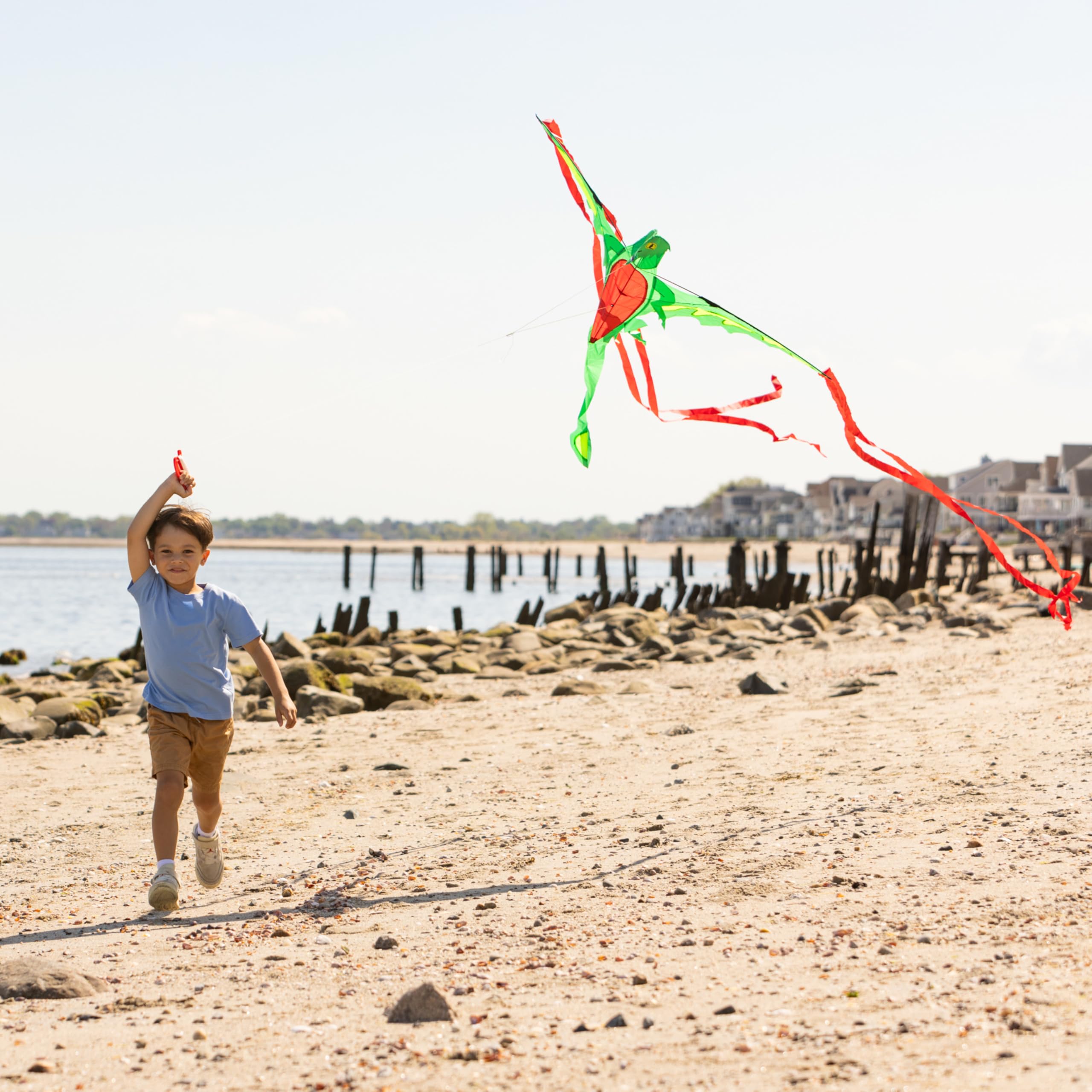 Melissa & Doug Cerf-Volant ailé en Forme de Dragon (envergure de 157 cm)