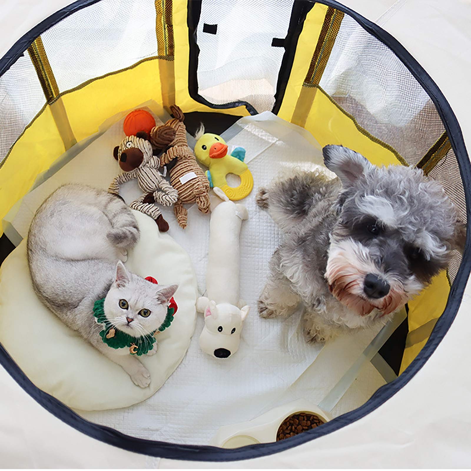 Petit Parc pour Animaux de Compagnie avec Couverture, Tente pour Animaux de Compagnie Transparente et Respirante Pliable avec Couvercle supérieur Exercice Pliable Cour,M:72 * 40cm