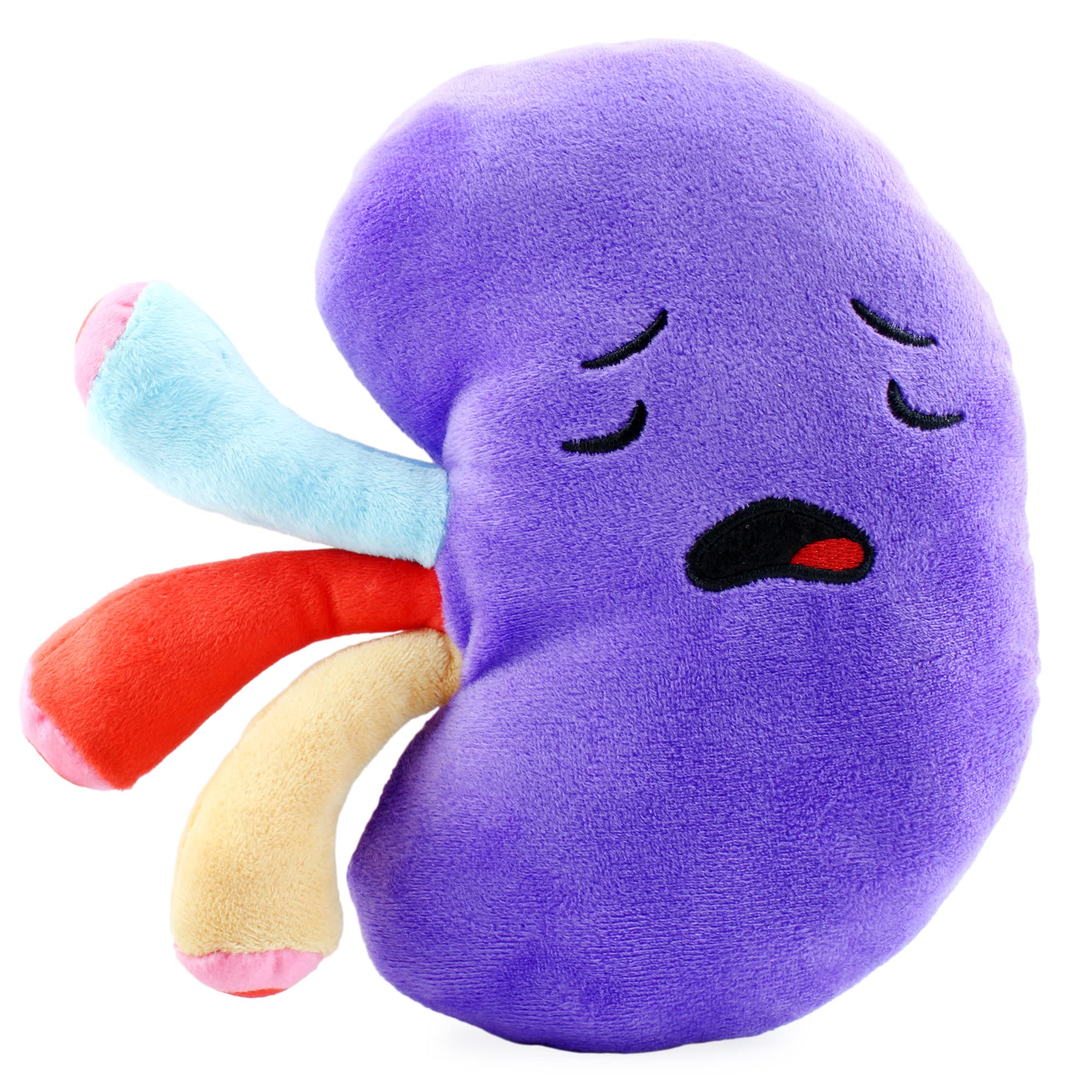kidney soft toy