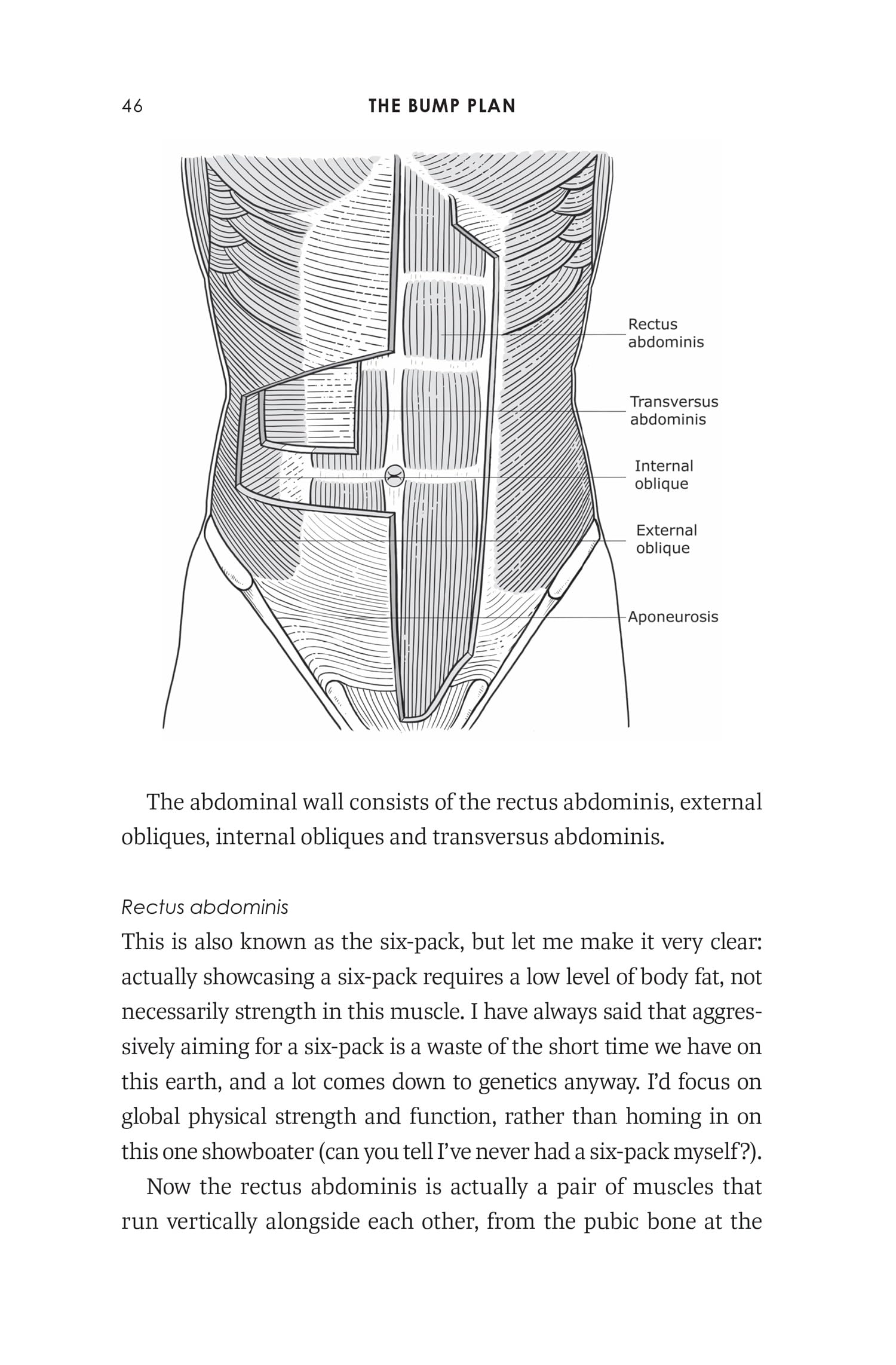 The Bump Plan: Your guide to fitness and exercise during pregnancy and the postnatal period from @thepilatespt and founder of The Bump Plan, complete with illustrated workouts
