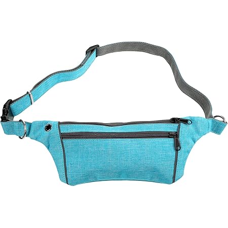 treat fanny pack