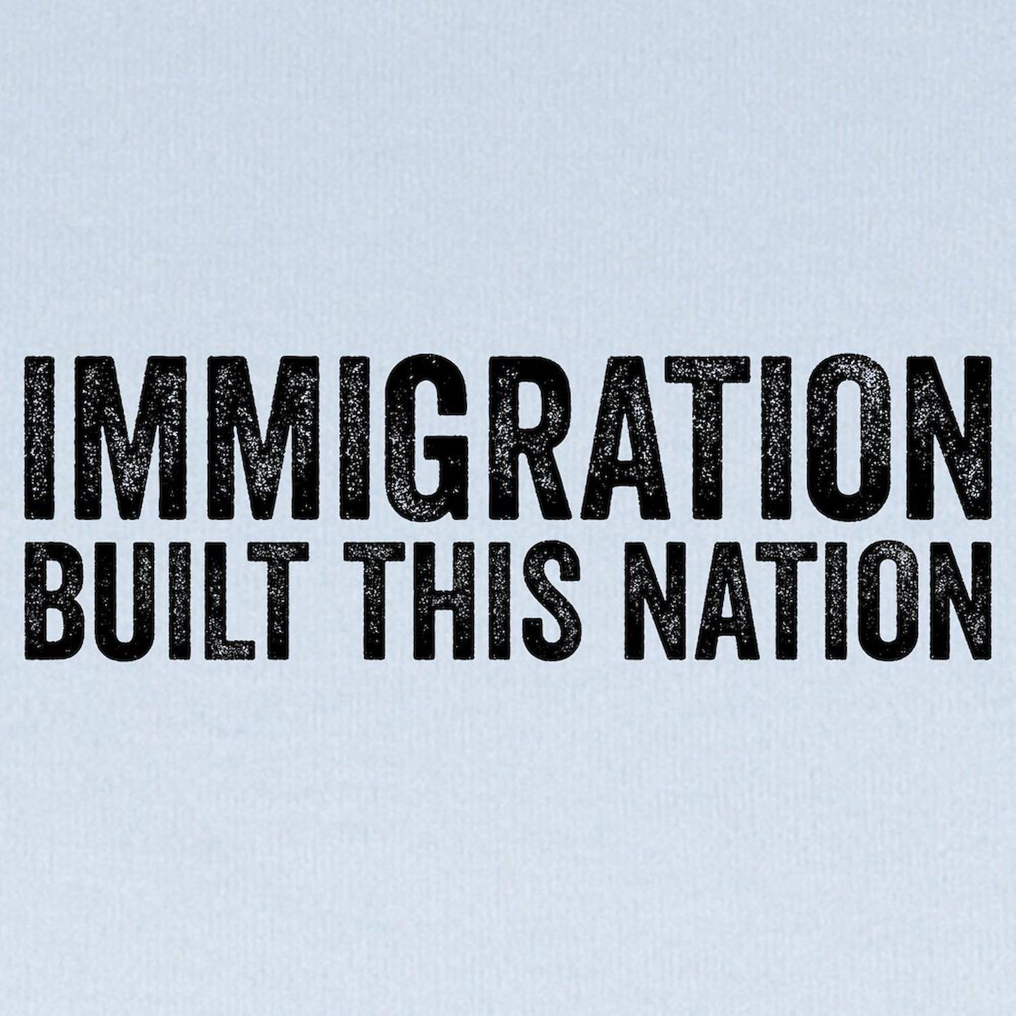 CafePress Immigration Built This Nation Resist Anti Trump Ba Baby Blanket, Super Soft Newborn Swaddle