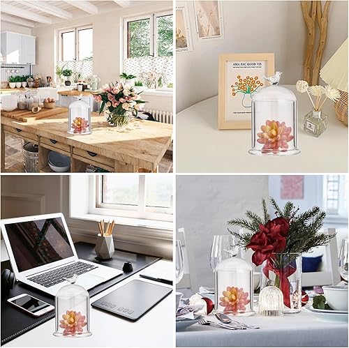 Miniatura 7 de CHGCRAFT Cubierta de cúpula de cristal con diseño de pájaro en forma de arco, terrario con base de vidrio, vitrina decorativa para portavelas,