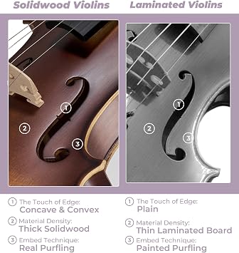 Vangoa Violin 4/4 Full Size Set, Varnish Fiddle Solid Wood for Professional Adults Senior Intermediate Beginners Student Starter Acoustic Violins Kit Outfit with Ebony Fitted, Hard Case, Right Handed