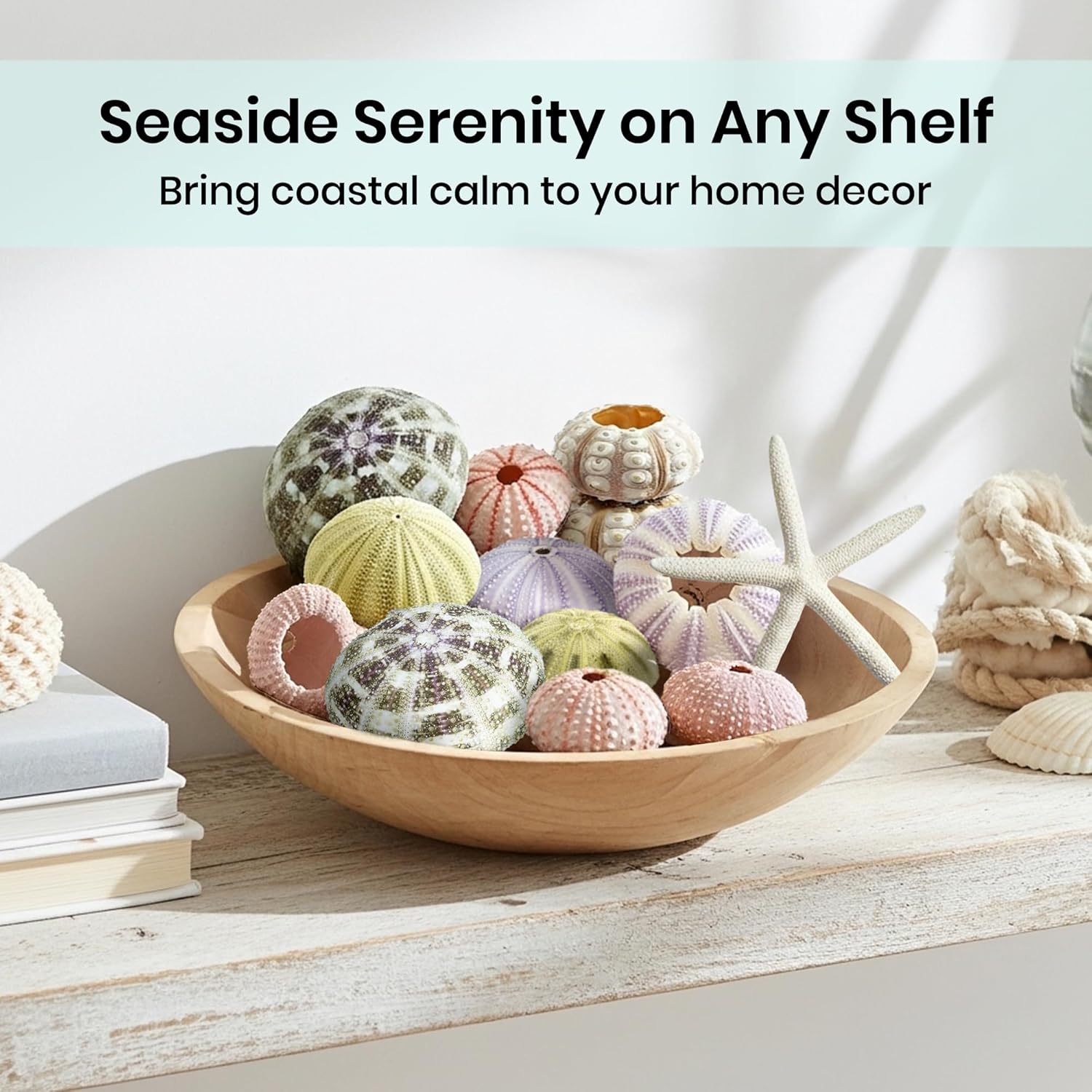 Nautical Crush Trading Sea Urchin Shells -12 Assorted Urchin Shells for Crafts - Bonus White Starfish – Coastal Decorations - Coastal Crafts - Beach House Decor