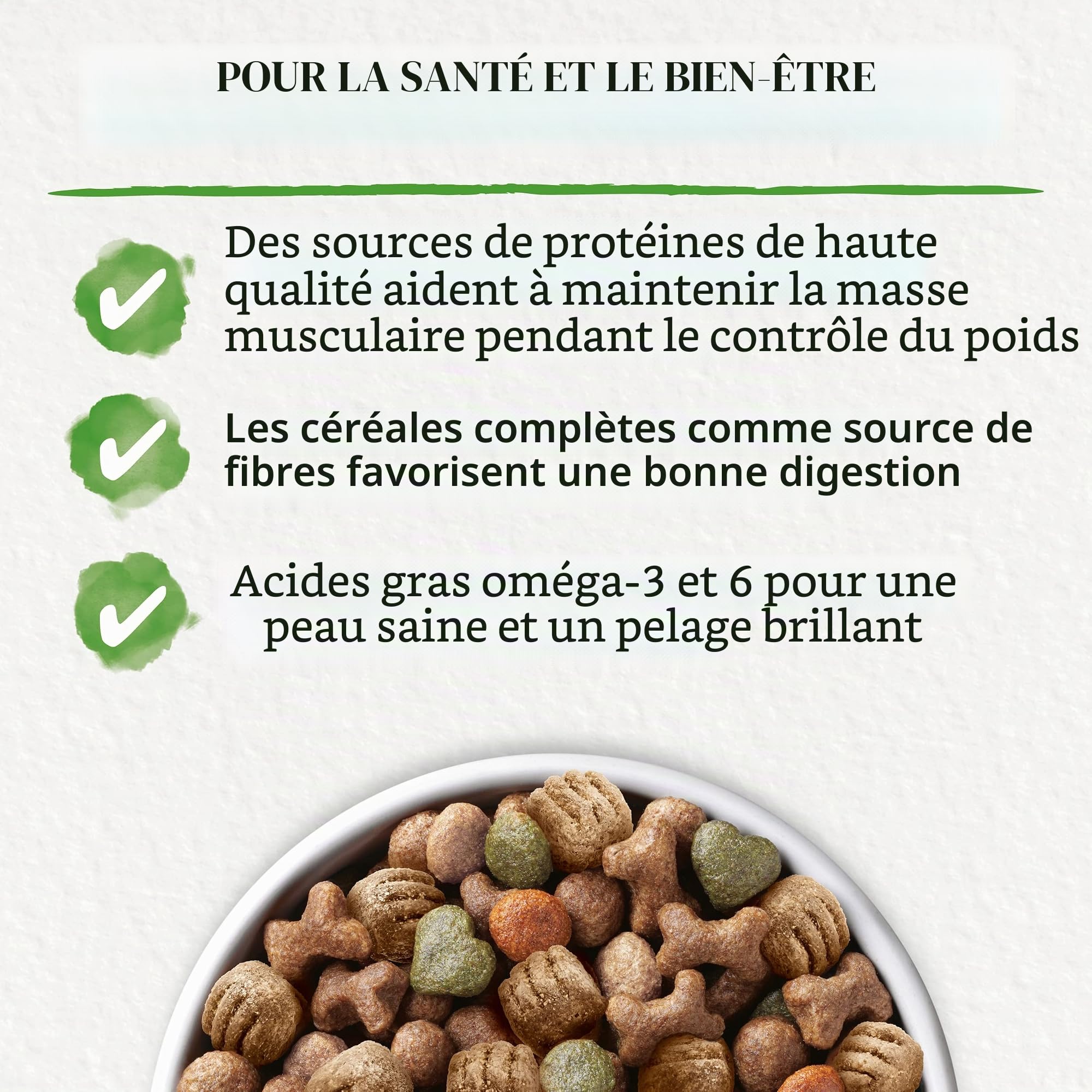 Beneful Nourriture sèche pour Chien - avec Poulet et légumes du Jardin - 1 Paquet (1 x 12 kg)