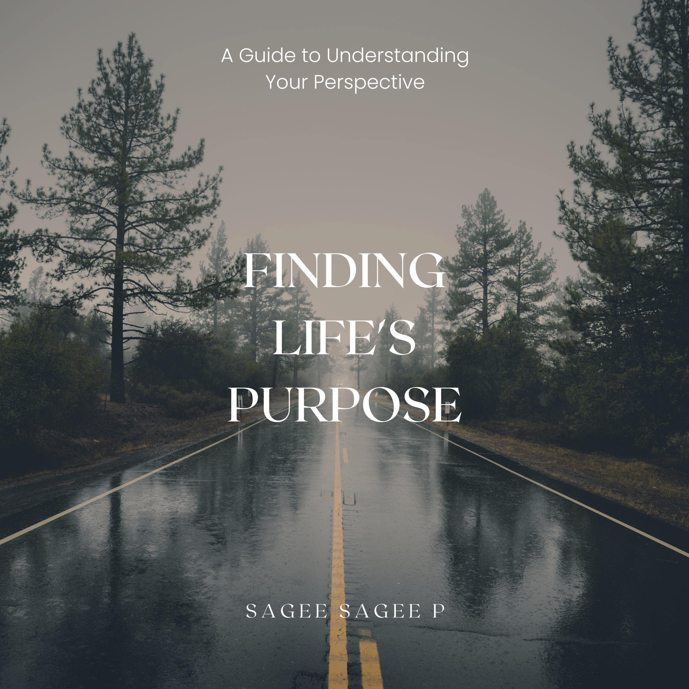 Finding Life's Purpose: A Guide to Understanding Your Perspective