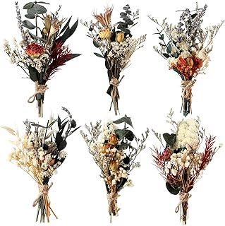 Fabbay 6 Pcs Mini Dried Flower Bouquets Boho Wedding Dried Flowers for B...