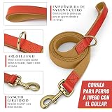 Ver la foto 3