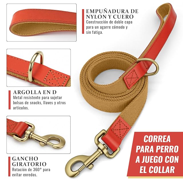 Foto 3 de 6 de Set de Collar y Correa 152cm para Perros XL (43-66cm) Nailon (Caqui)