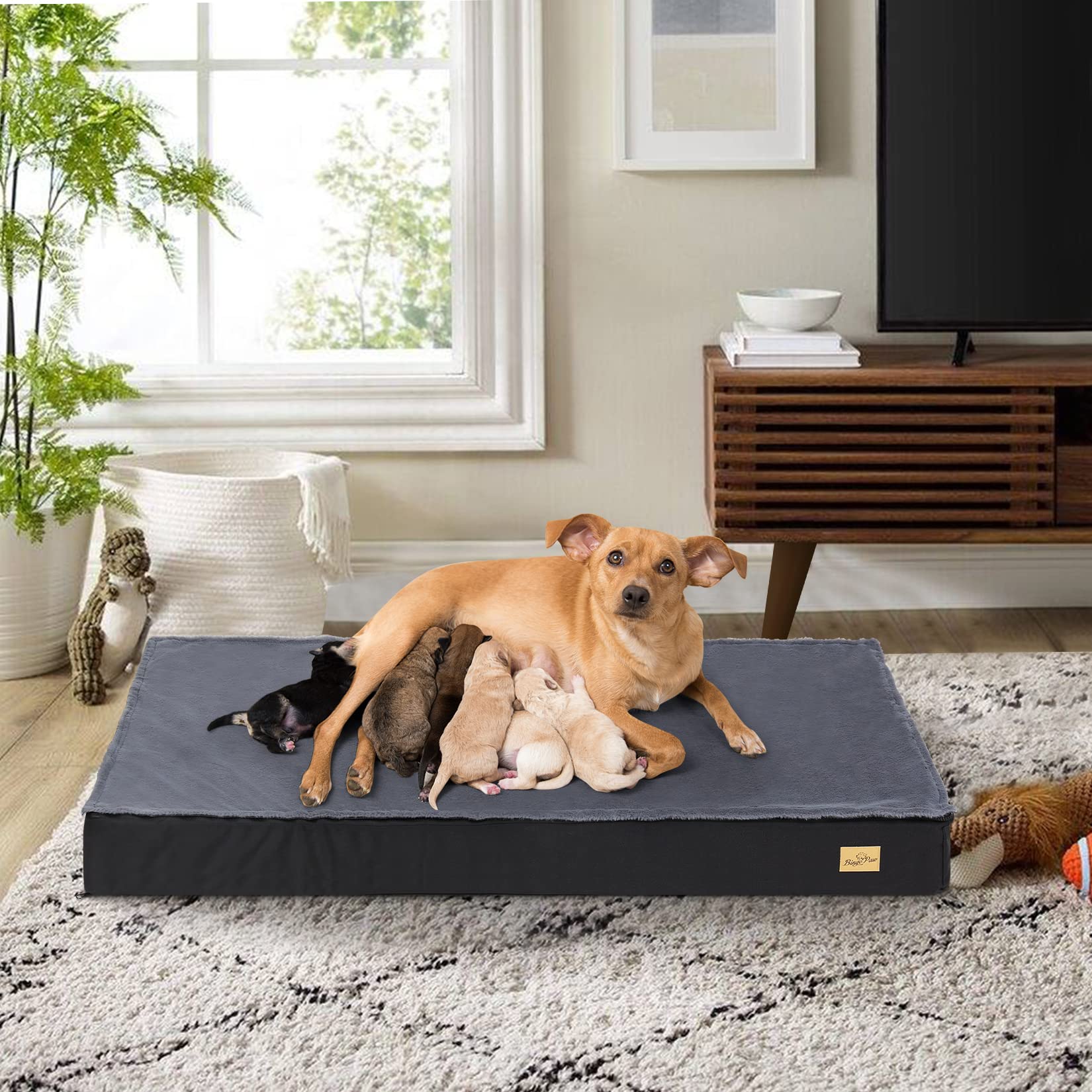 BingoPaw Cama Perro Grande XXL: Colchoneta Colchon Perro Ortopedico 120x75x10 cm Impermeable con Funda Desenfundable y Lavable con Top de Manta de Felpa Desmontable con Cierre para Invierno Verano